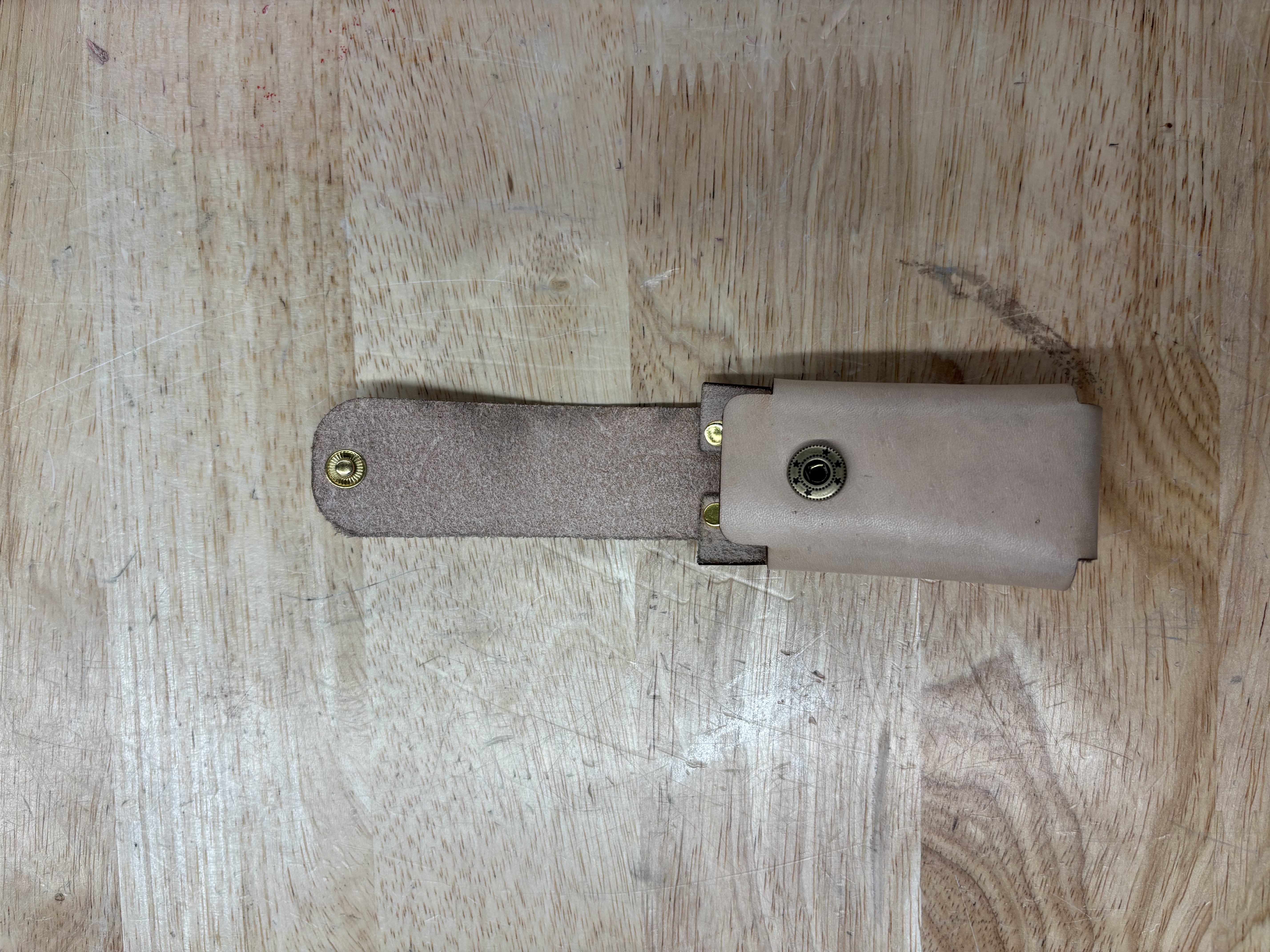 Sheath V1 Open